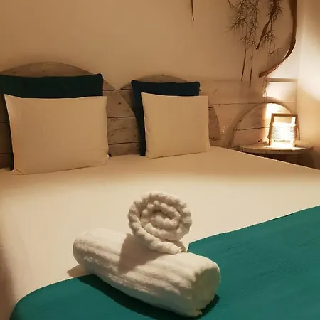 بيت شباب Cactus Host *