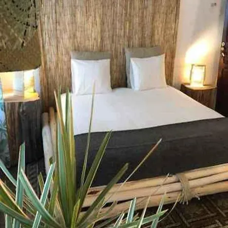 Cactus Host *