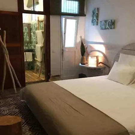 Cactus Host بيت شباب لاس بالماس دي غران كاناريا