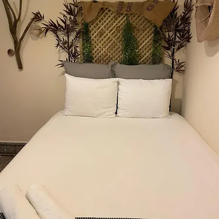 Cactus Host بيت شباب لاس بالماس دي غران كاناريا