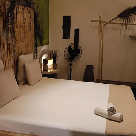 Cactus Host لاس بالماس دي غران كاناريا