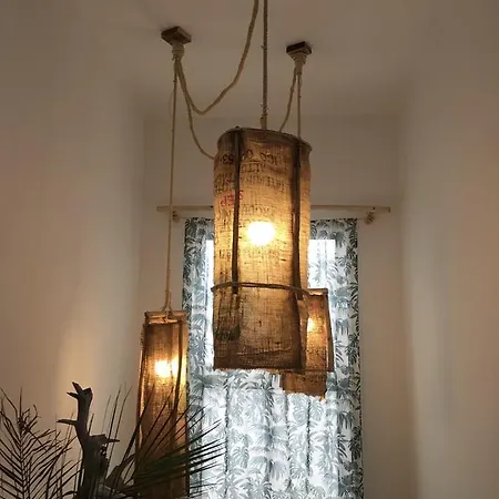 بيت شباب Cactus Host *