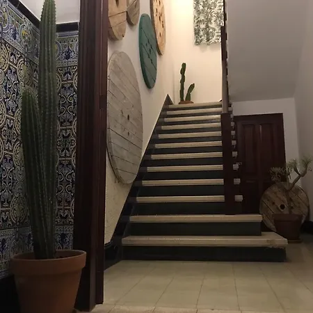 Cactus Host بيت شباب لاس بالماس دي غران كاناريا
