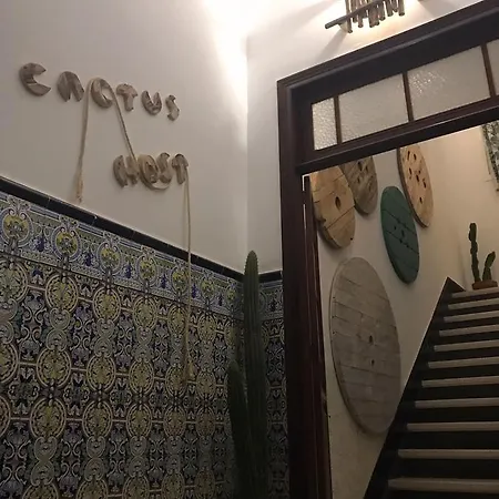 Cactus Host بيت شباب *