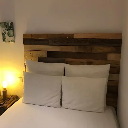 Cactus Host * لاس بالماس دي غران كاناريا