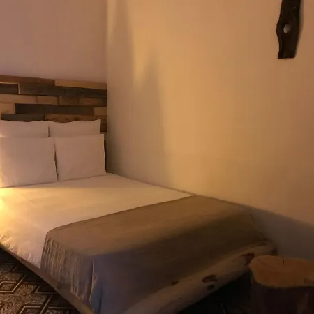Cactus Host بيت شباب لاس بالماس دي غران كاناريا