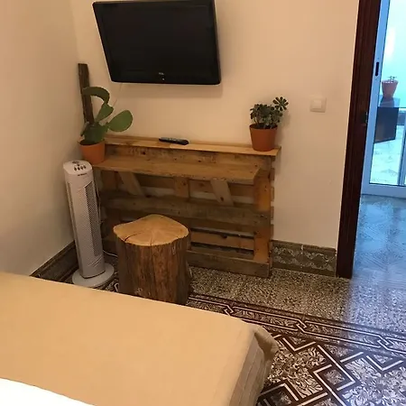 بيت شباب Cactus Host *