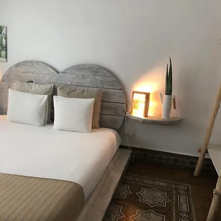 بيت شباب Cactus Host *