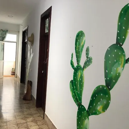 بيت شباب Cactus Host *