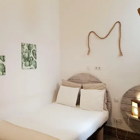 Cactus Host * لاس بالماس دي غران كاناريا