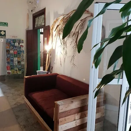 بيت شباب Cactus Host لاس بالماس دي غران كاناريا