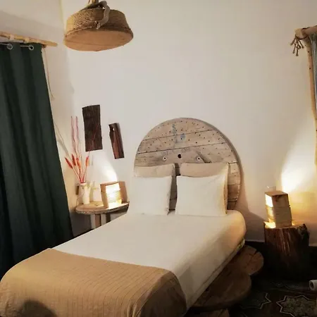 بيت شباب Cactus Host