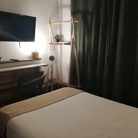 بيت شباب Cactus Host *