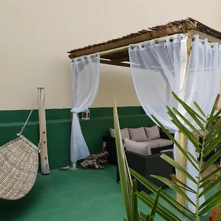 Cactus Host لاس بالماس دي غران كاناريا