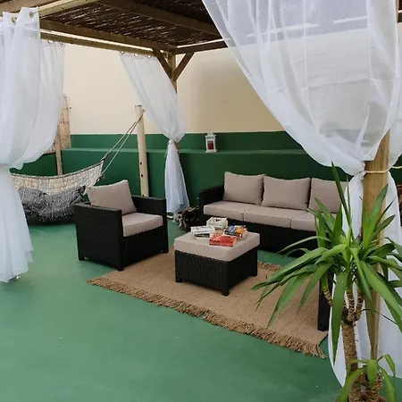 Cactus Host لاس بالماس دي غران كاناريا
