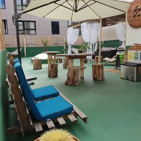 Cactus Host بيت شباب *