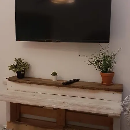 بيت شباب Cactus Host