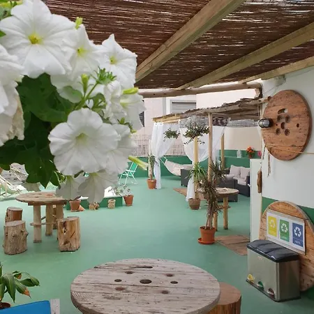 Cactus Host لاس بالماس دي غران كاناريا