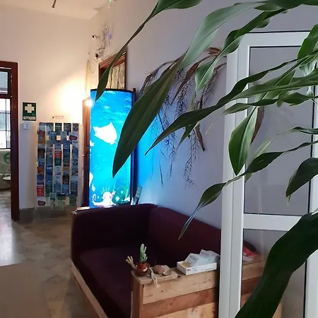 بيت شباب Cactus Host لاس بالماس دي غران كاناريا